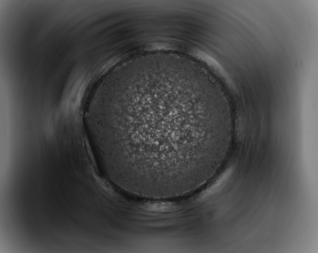 X0000092220833200709211006