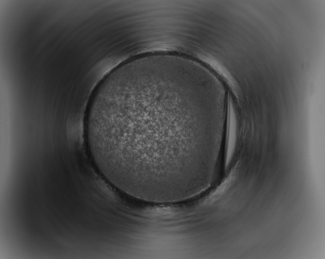 X0000092220834200709211006