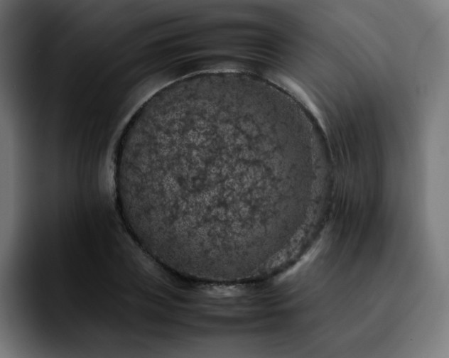 X0000092220835200709211006