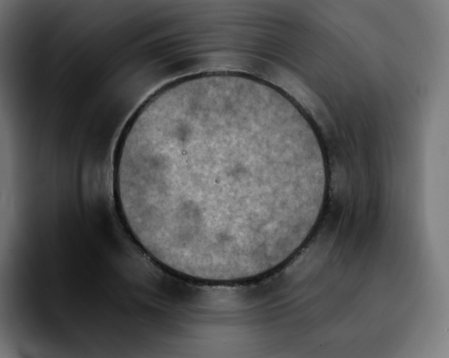 X0000092220836200709211006