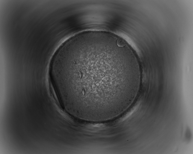 X0000092220837200709211006