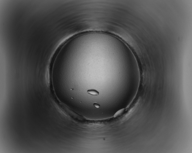 X0000092220838200709211006