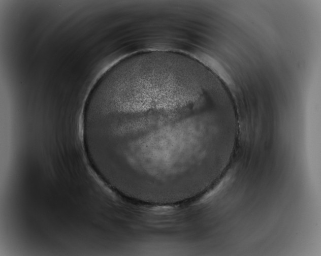 X0000092220839200709211006