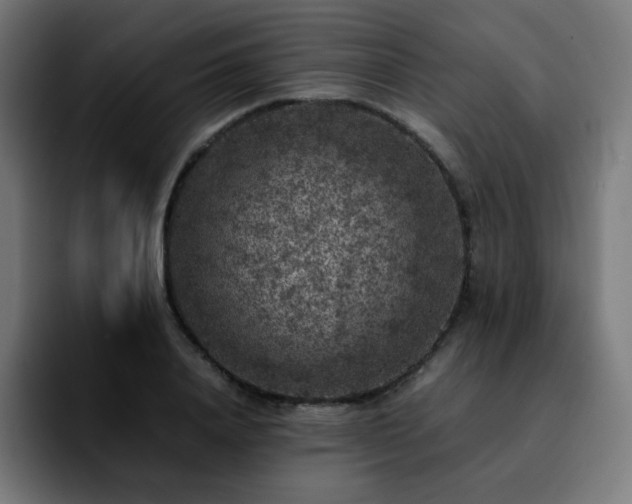 X0000092220840200709211006