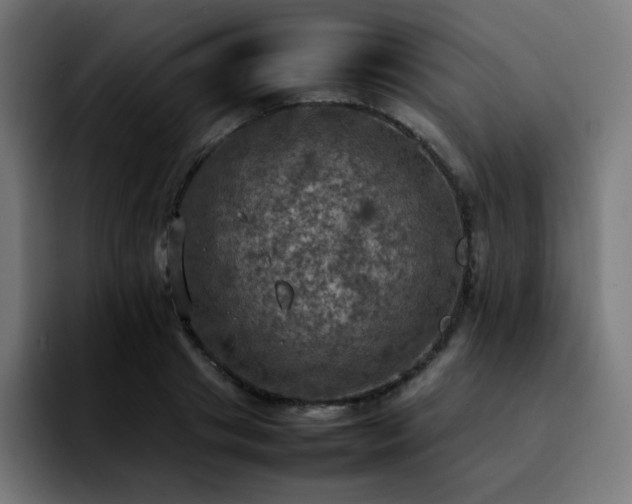 X0000092220841200709211006