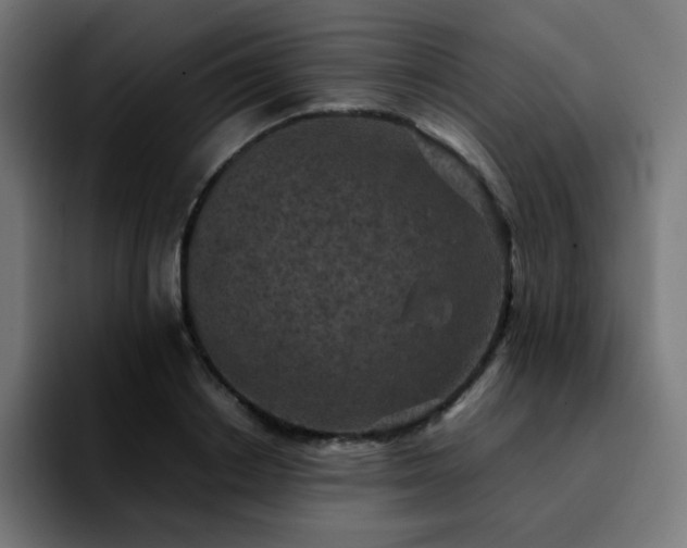 X0000092220842200709211006