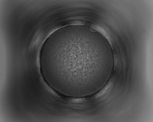 X0000092220843200709211006