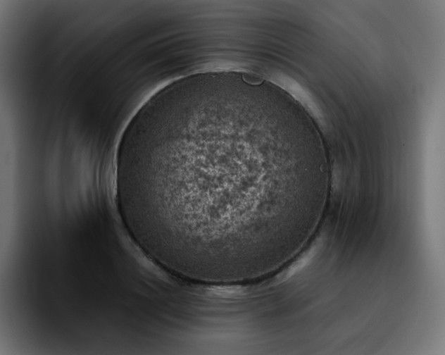 X0000092220844200709211006