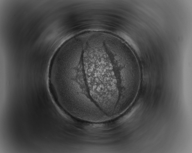 X0000092220845200709211006