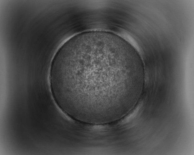 X0000092220847200709211006