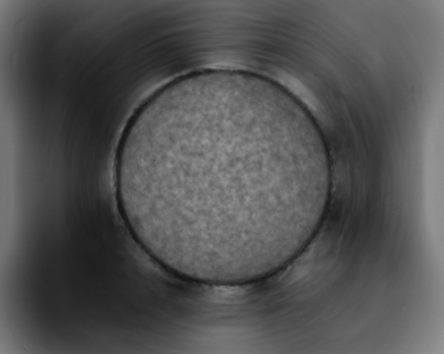 X0000092220848200709211006