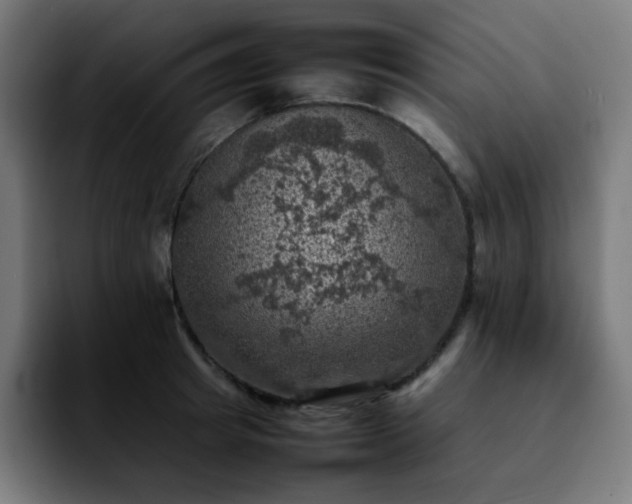 X0000092220849200709211006