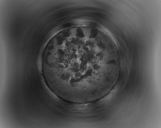 X0000092220851200709211006