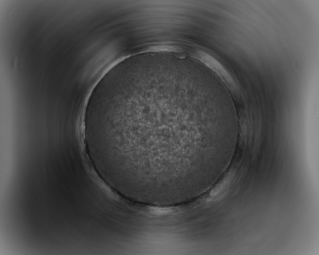 X0000092220852200709211006