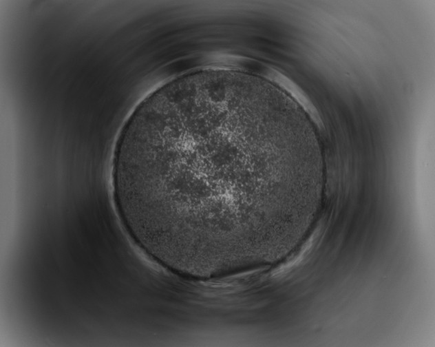 X0000092220853200709211006