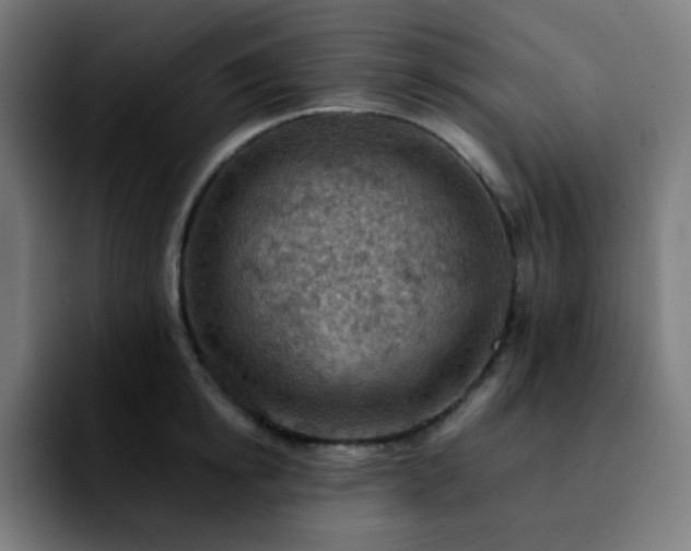 X0000092220854200709211006