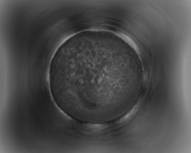 X0000092220855200709211006