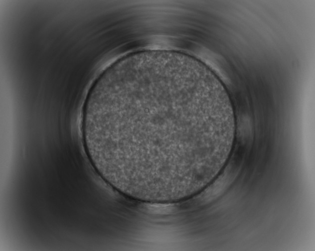 X0000092220856200709211006