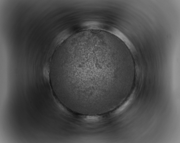 X0000092220857200709211006