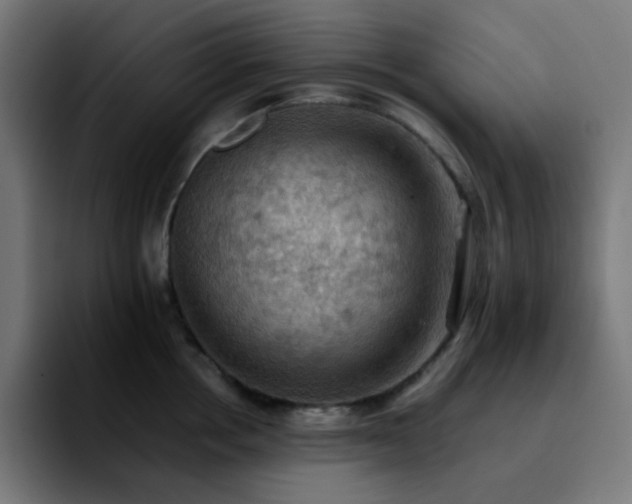 X0000092220858200709211006