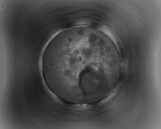 X0000092220859200709211006