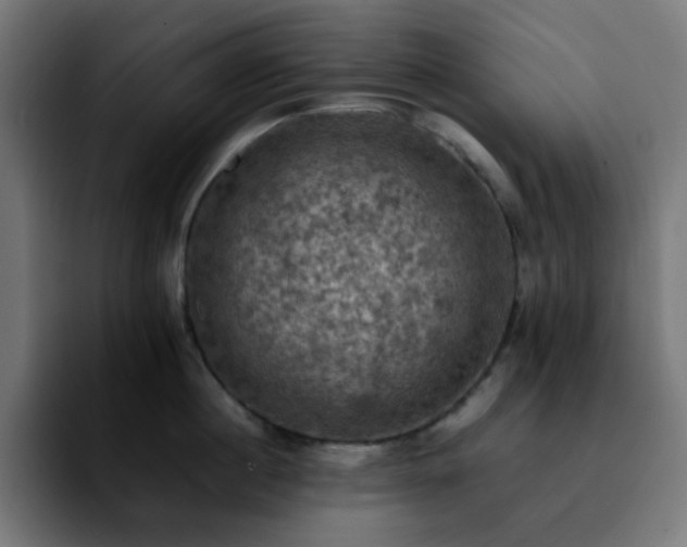 X0000092220860200709211006