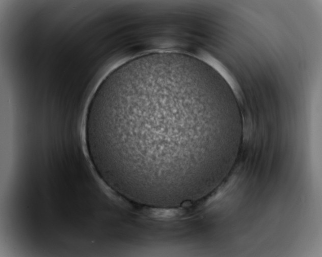 X0000092220861200709211006
