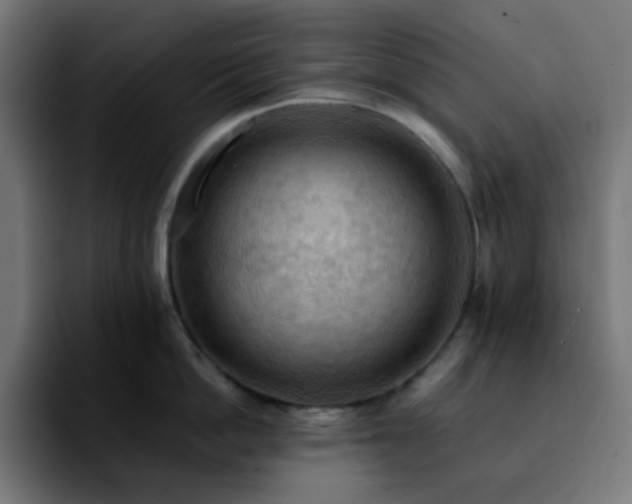X0000092220862200709211006