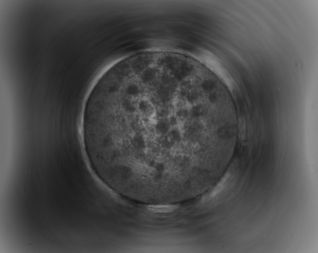 X0000092220863200709211006