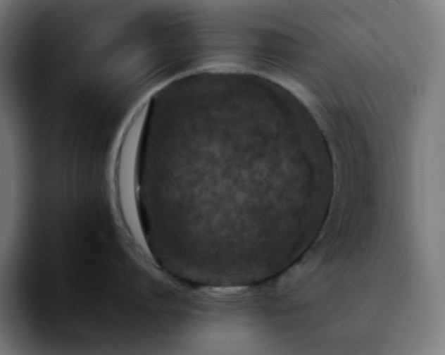 X0000092220864200709211006