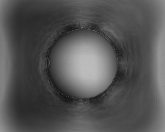 X0000092220865200709211006