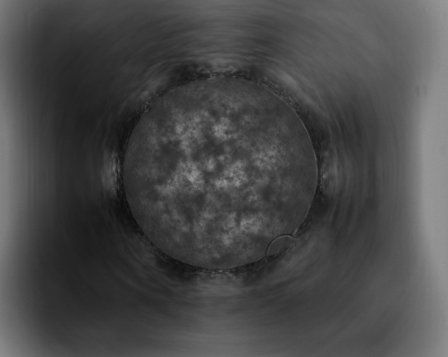 X0000092220866200709211006