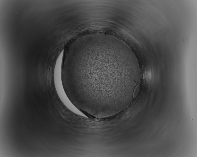 X0000092220868200709211006