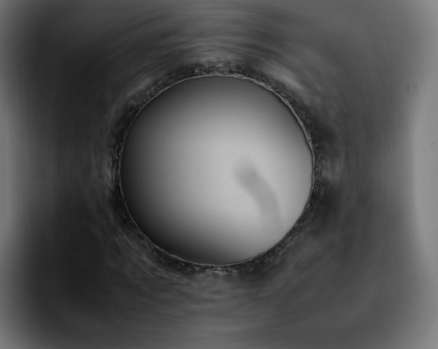 X0000092220869200709211006