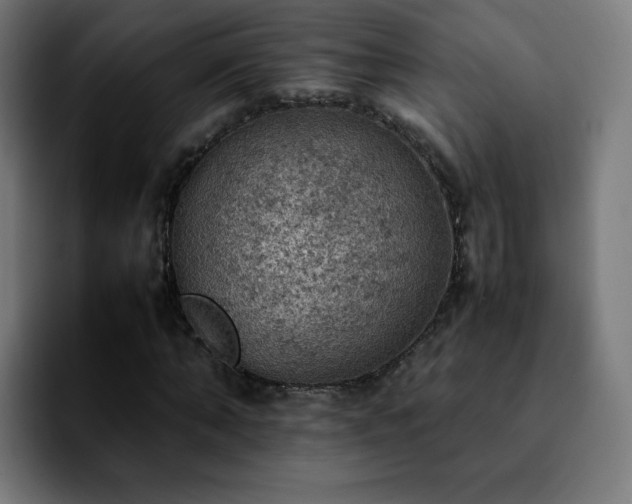 X0000092220870200709211006