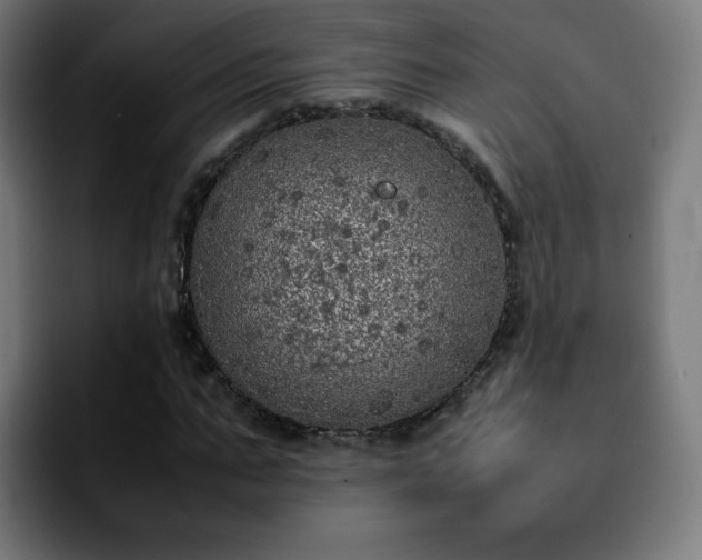 X0000092220871200709211006
