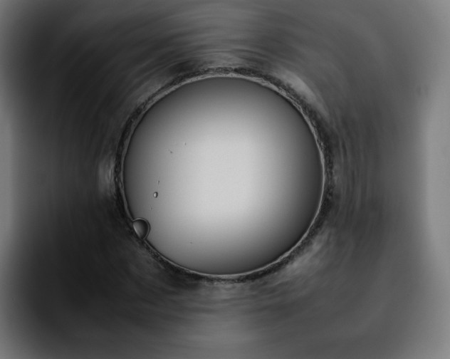 X0000092220873200709211006
