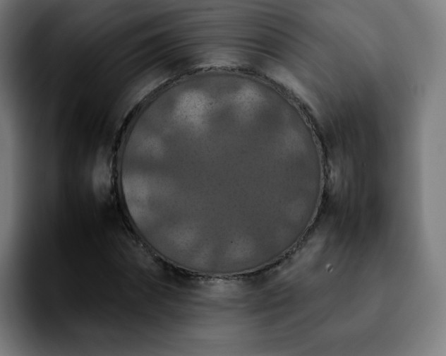X0000092220874200709211006