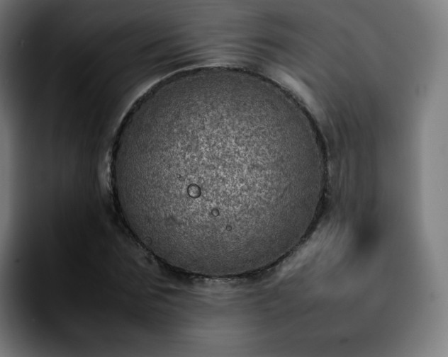 X0000092220875200709211006