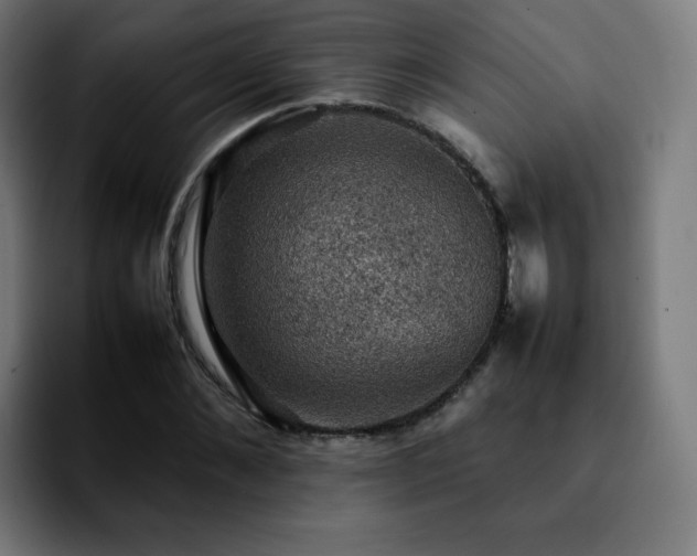 X0000092220876200709211006