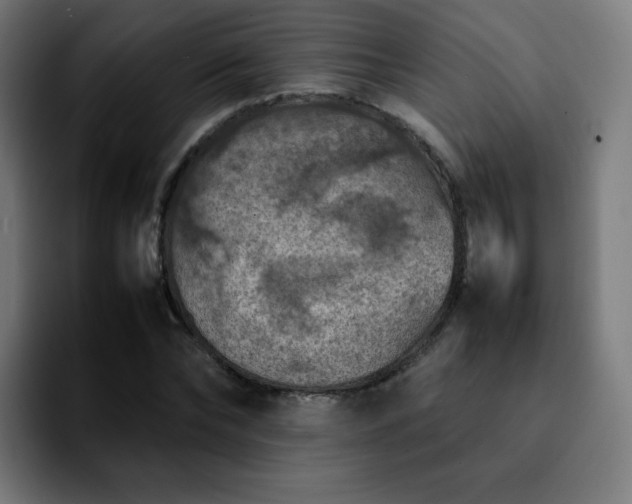 X0000092220878200709211006