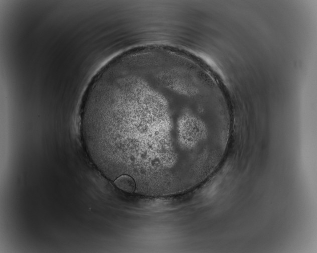 X0000092220879200709211006