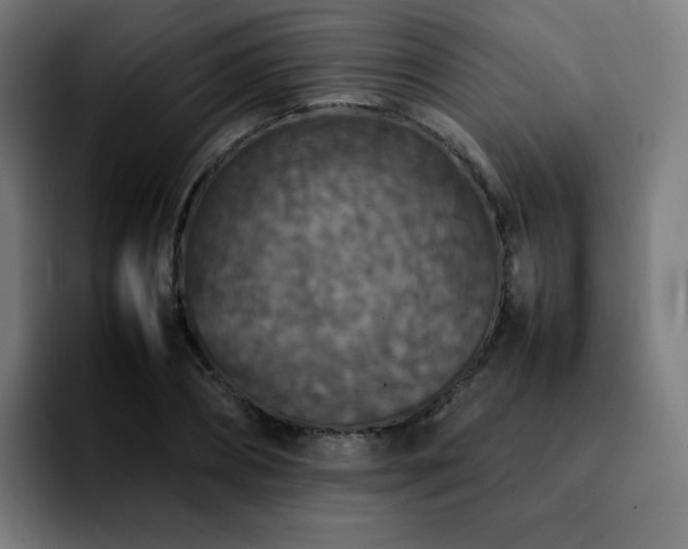 X0000092220882200709211006