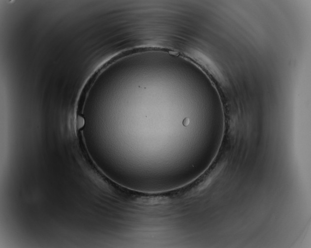 X0000092220884200709211006