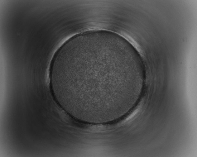 X0000092220885200709211006