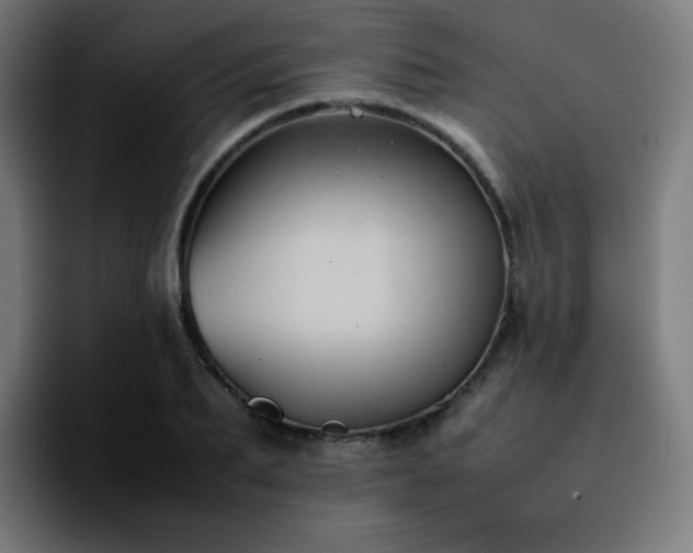 X0000092220887200709211006