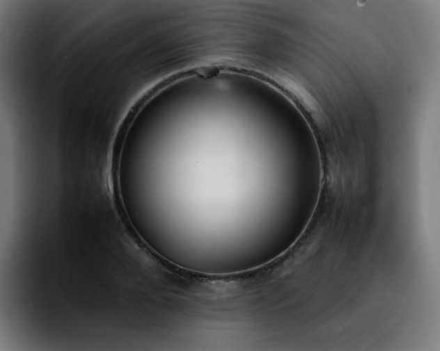 X0000092220888200709211006