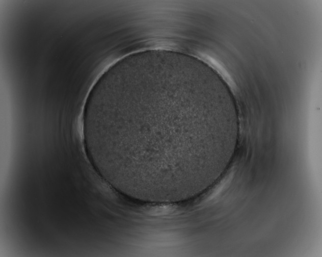 X0000092220891200709211005