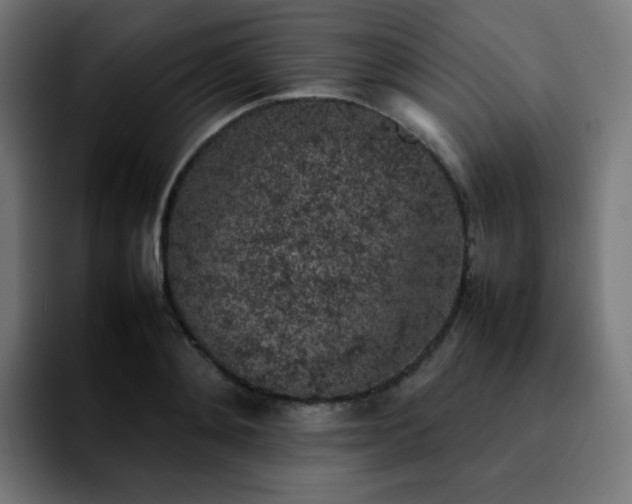 X0000092220892200709211005