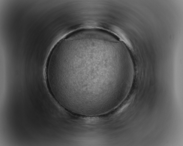 X0000092220893200709211005